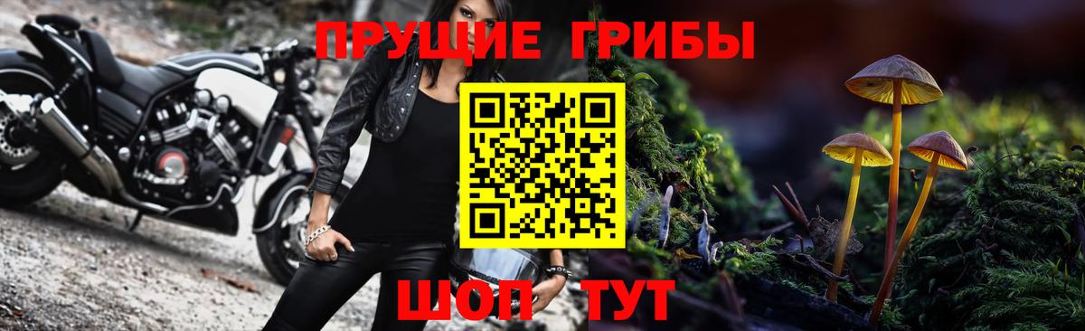 Галлюциногенные грибы Psilocybe Медногорск